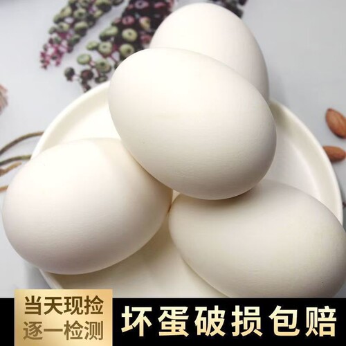 农家散养新鲜鹅蛋大鹅蛋正宗土鹅蛋现捡现发