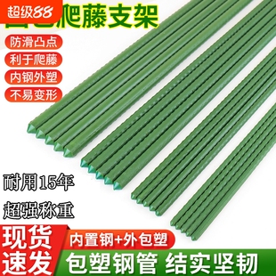 花架爬藤支架植物支撑杆花盆钢管包塑番茄黄瓜蔬菜葡萄月季固定线
