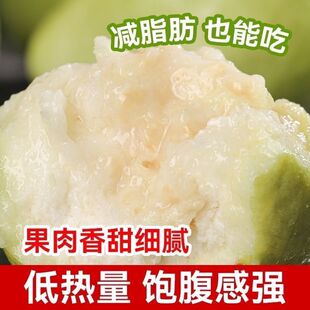 广东软糯奶油白心芭乐新鲜黄金软心番石榴应季冰淇淋口感低糖鲜果