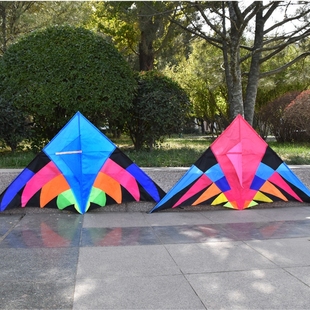 2022年新款妖姬风筝成人初学者特大型微风易飞儿童长尾大风筝