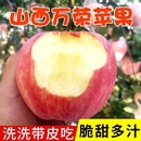 正宗山西红富士苹果脆甜冰糖心苹果新鲜水果整箱批发 果园直发