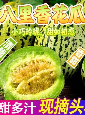 山东正宗花美人甜瓜现摘八里香脆甜香瓜孕妇可食新鲜应季大果绿宝