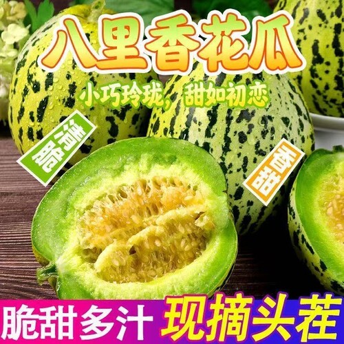 山东正宗花美人甜瓜现摘八里香脆甜香瓜孕妇可食新鲜应季大果绿宝