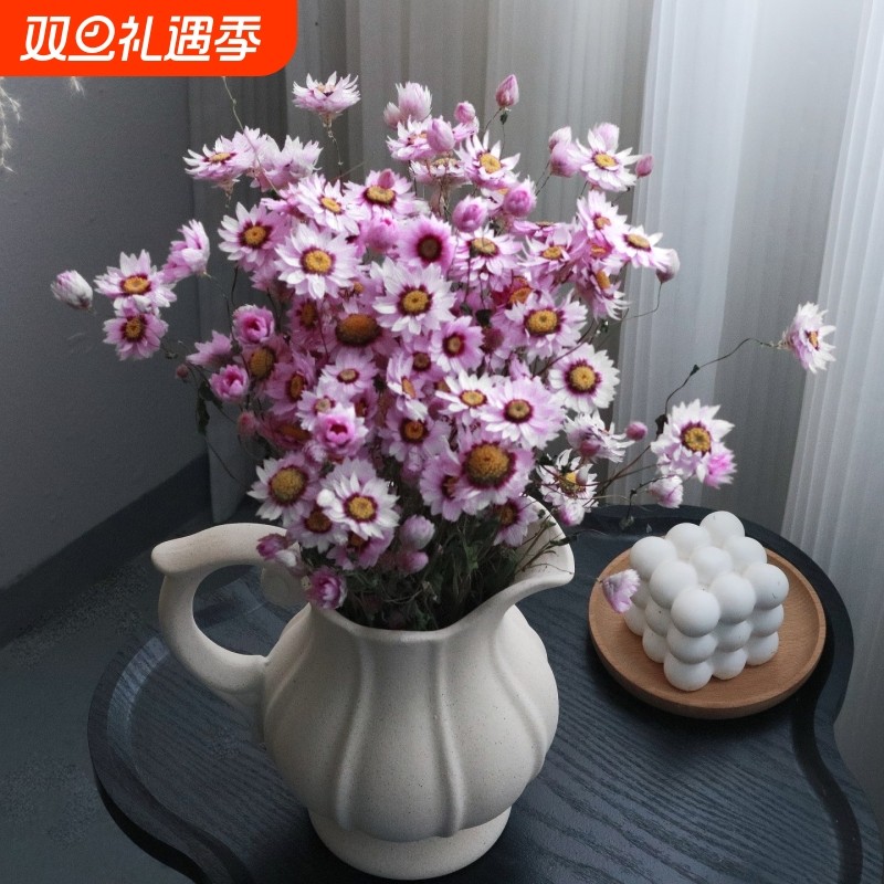 干花真花风干天然鲁丹鸟小雏菊干花洋甘菊客厅摆设干花花束摆件