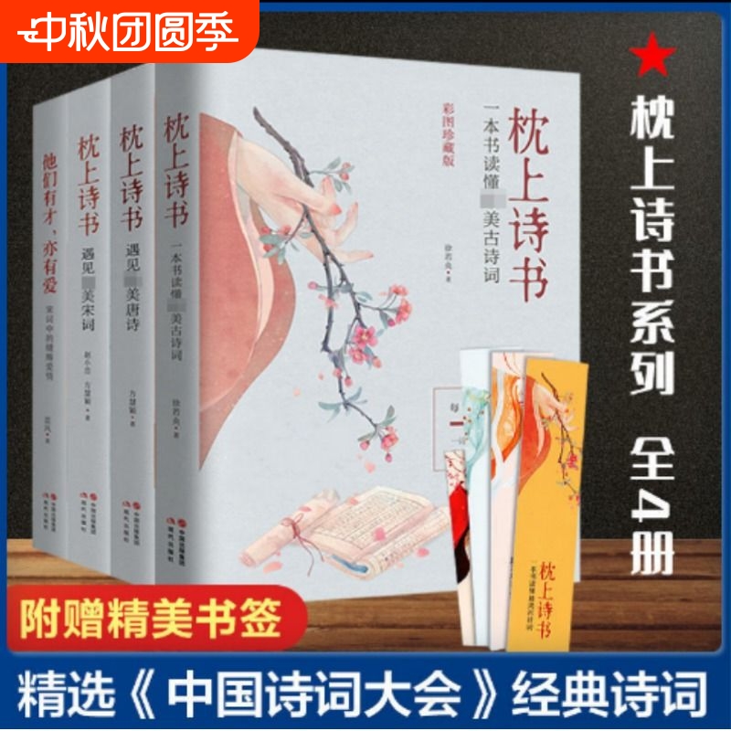 正版速发 4册枕上诗书 正版全套书读懂最美古诗词飞花令里读唐诗宋词诗词鉴赏辞典赏析中国古代文学古诗词书籍lxr