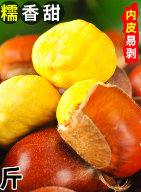 云南新鲜板栗2026新货高原直供个大饱满粉糯大果包邮带壳去壳鲜生