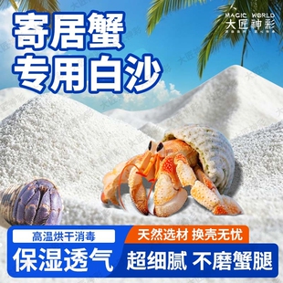 寄居蟹专用沙辣椒蟹珊瑚沙相手蟹沙菲律宾白沙鱼缸底砂爬宠垫材