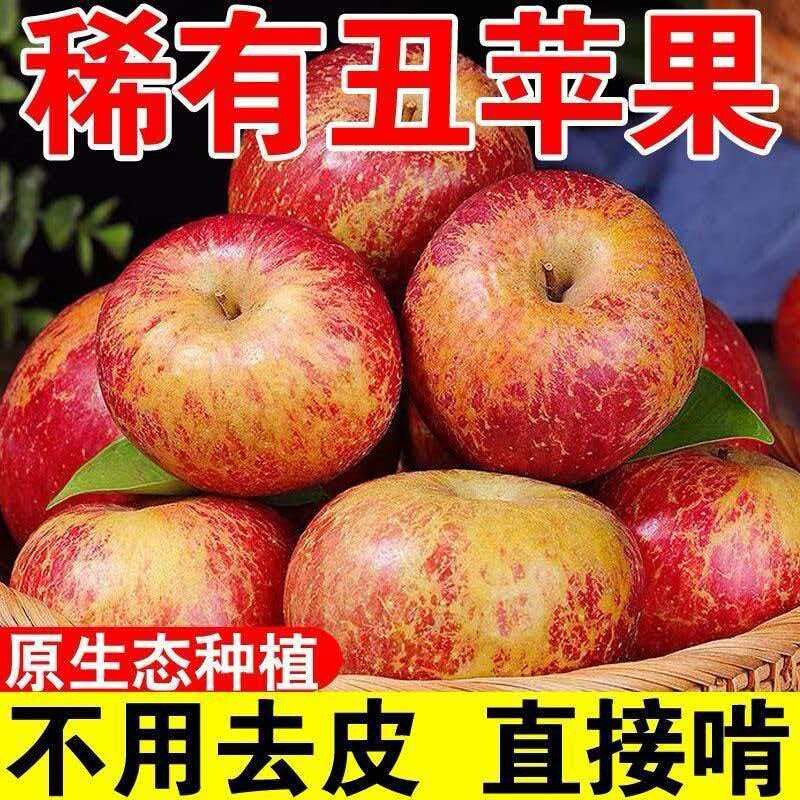 【丑苹果】脆甜丑苹果正宗高山红富士新鲜苹果水果冰糖心整箱批发