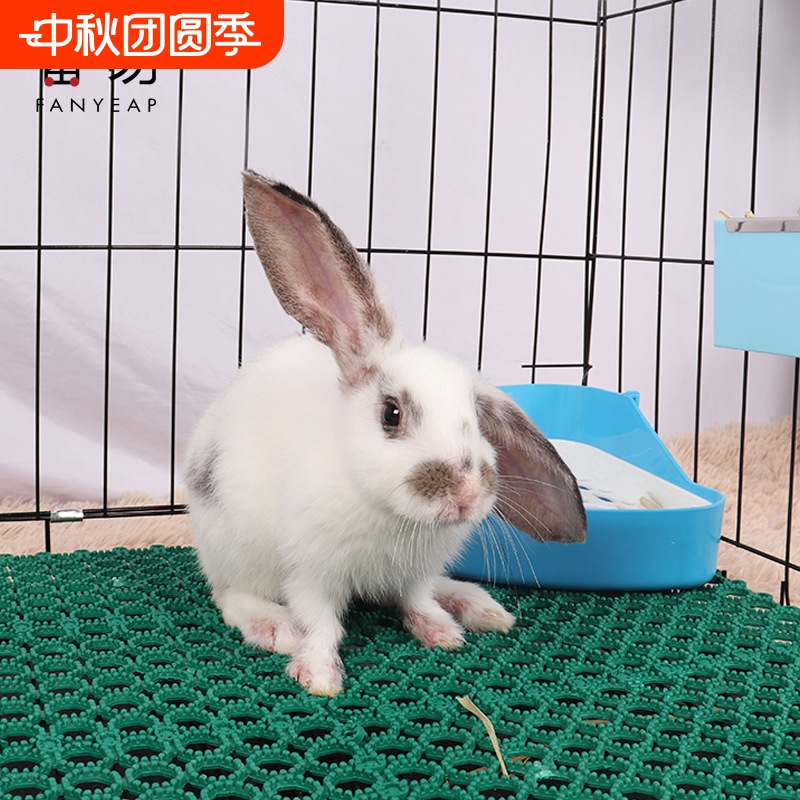 兔子脚垫A1pf0-宠物可裁剪垫脚板笼子踏板咬拼接可弯曲塑