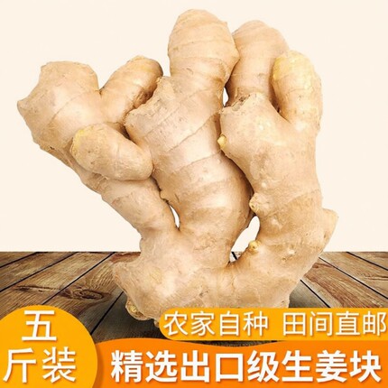 山东大姜老姜优质出口生姜月子姜风干姜现挖鲜姜新鲜老黄姜土姜