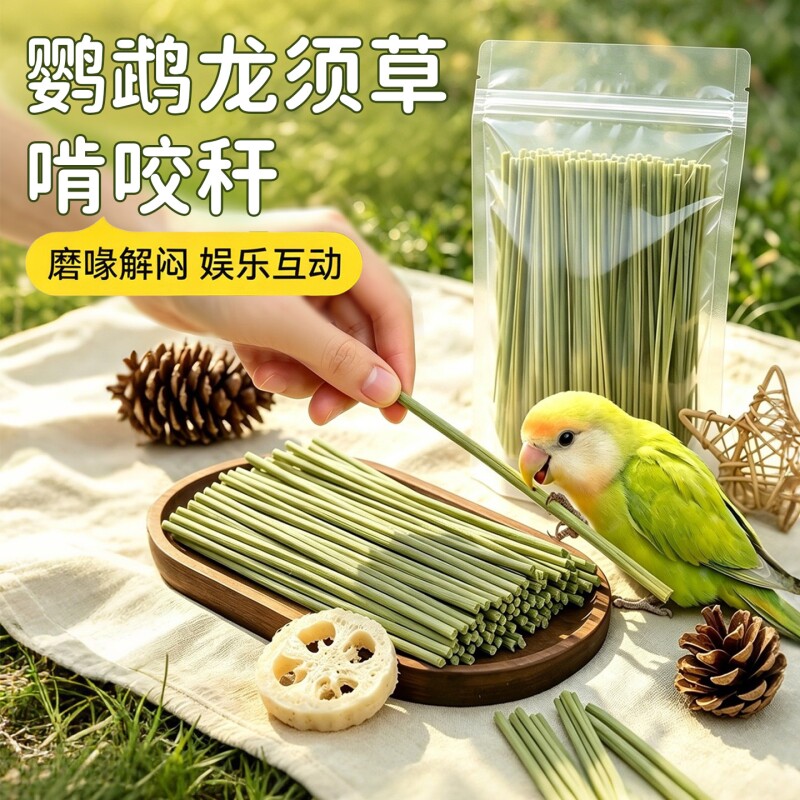 【鹦鹉龙须草】磨喙解闷娱乐互动图片