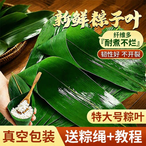 粽叶新鲜端午节包粽子真空包装