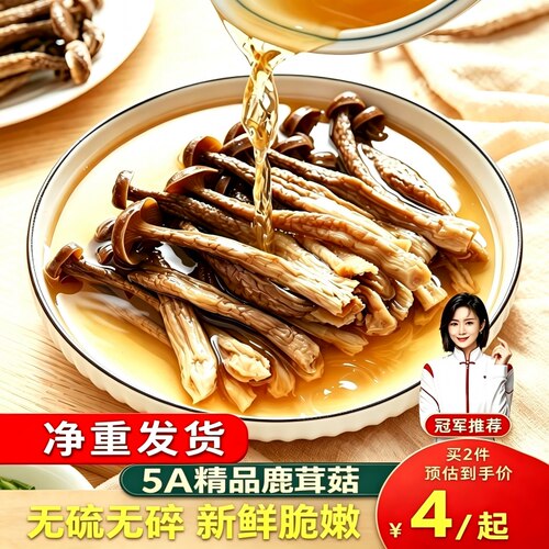 5A精品鹿茸菇干货特级500g鹿耳菇香菇蘑菇新鲜云南菇煲汤炖汤美味