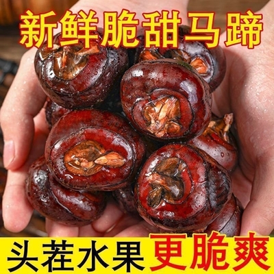 新鲜马蹄脆甜多汁现挖荸荠大果3斤5斤农家自种当季地栗蔬菜水果