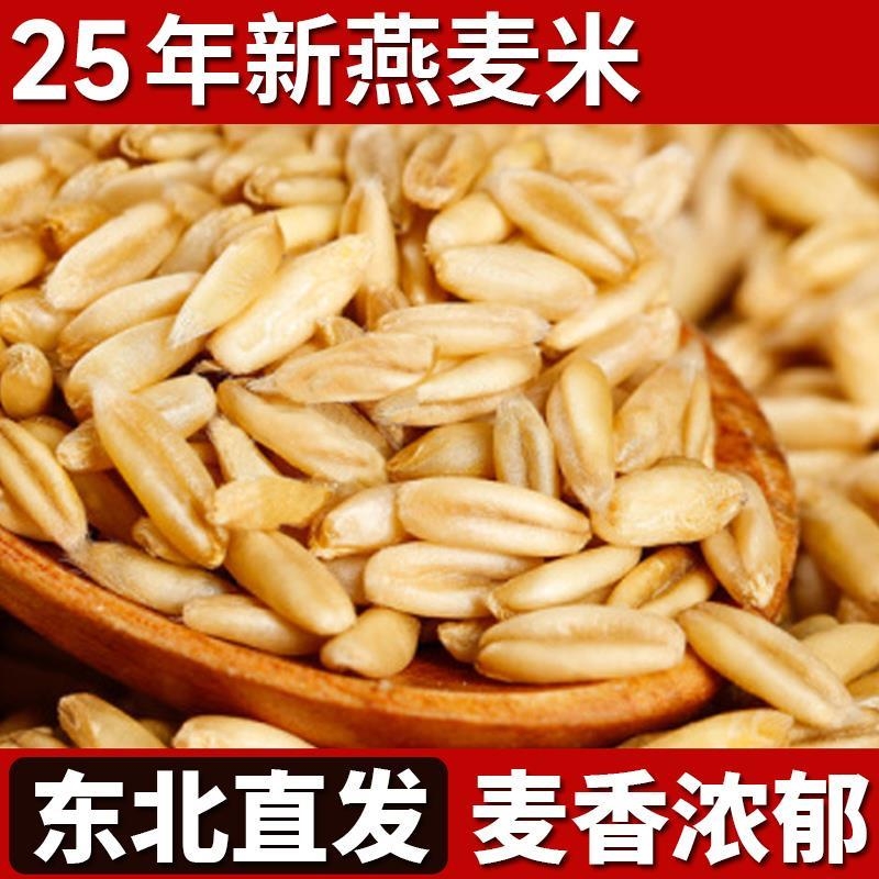 东北农家燕麦米25年新米生燕麦仁粒胚芽米粗粮早餐粥原料五谷杂粮