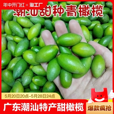 新鲜甜橄榄广东潮汕特产青枣脆橄榄现摘橄榄果生吃煲汤泡茶青橄榄