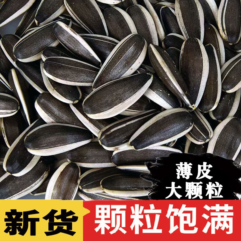 原味大颗粒葵花籽新货炒熟瓜子批发坚果零食葵花子新鲜生葵花休闲