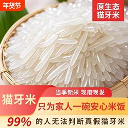 广西长寿之乡上林大米2025年新米象牙象米农家长粒香米猫牙米10斤