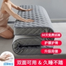 床垫软垫家用卧室海绵垫被学生宿舍单人床褥子租房专用榻榻米 四季