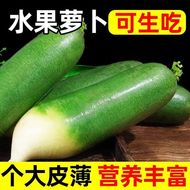 水果萝卜潍坊青萝卜甜脆潍县沙地萝卜潍坊农科院基地正宗当季蔬菜