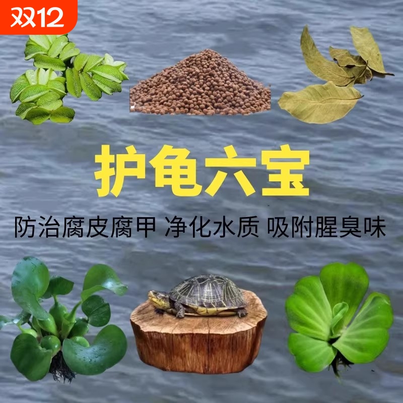 乌龟专用缸造景观景缸