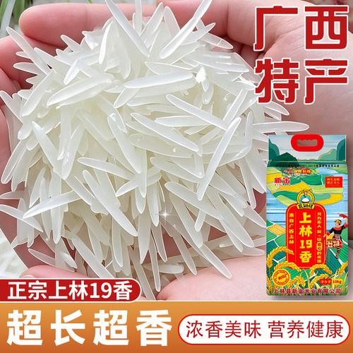 农家自种上林19香正宗广西香米丝苗米生态新米长粒香煲仔饭专用米
