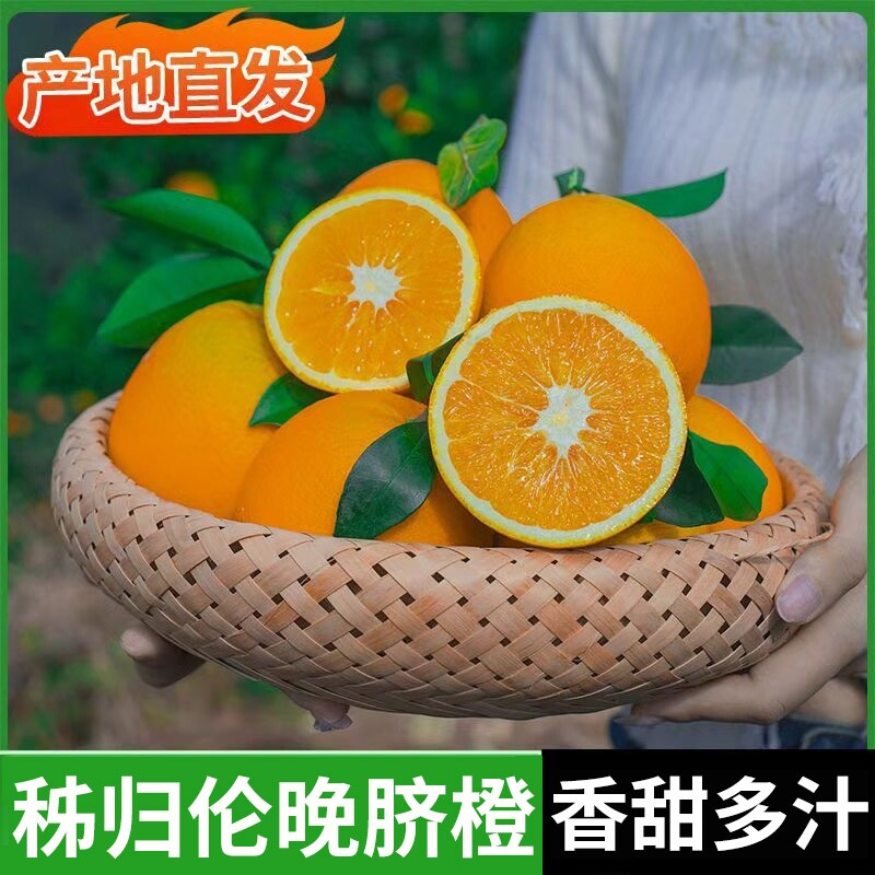 正宗秭归脐橙新鲜橙子10斤应当季水果现摘脐橙果冻橙冰糖甜橙包邮