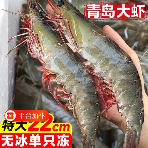正宗青岛海捕大虾特大20/30