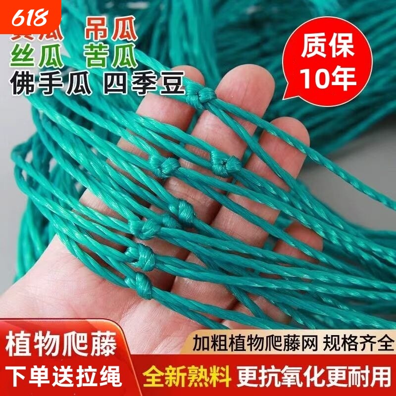 加粗爬藤网植物攀爬网丝瓜黄瓜豆角蔬菜瓜果葡萄百香果种植网绳子
