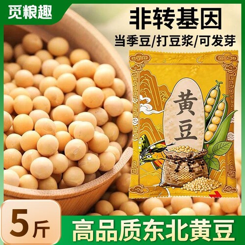 东北农家黄豆非转基因小黄豆