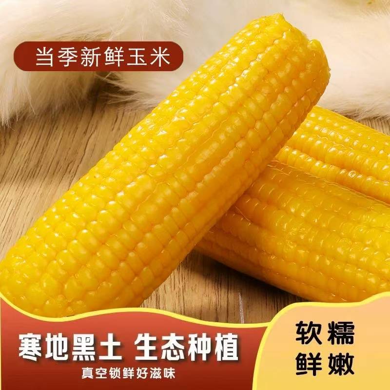 东北黄糯玉米5斤10根新鲜无添加低脂非转基因真空袋装代餐