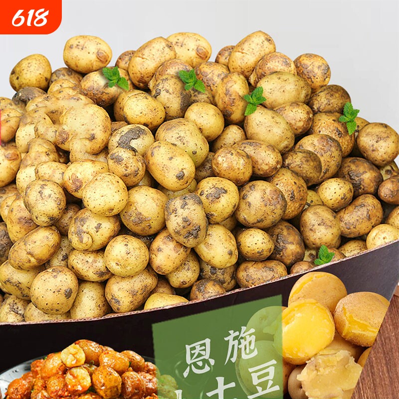 正宗富硒恩施小土豆农家自种新鲜洋芋迷你黄心土豆马铃薯