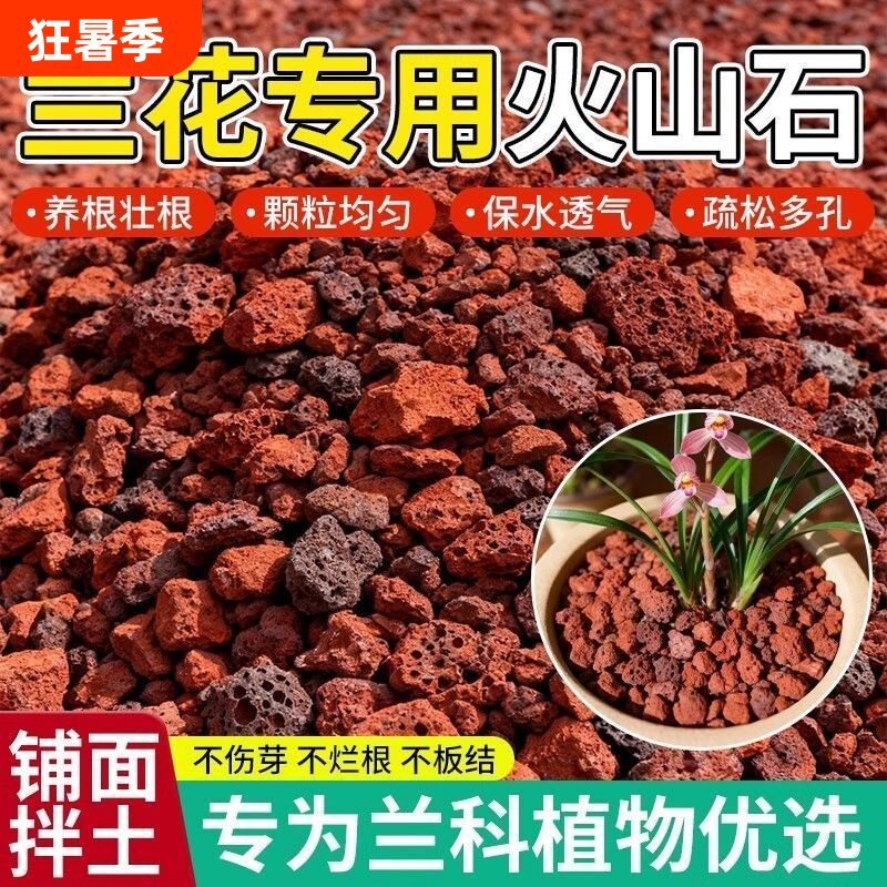 兰花专用火山石盆栽铺面鱼缸造景滤材火山岩底砂颗粒石头多肉植物