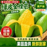 广西.青皮金煌芒净重4.5斤 券后9元包邮