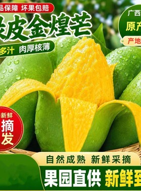 【官方推荐】广西百色金煌芒