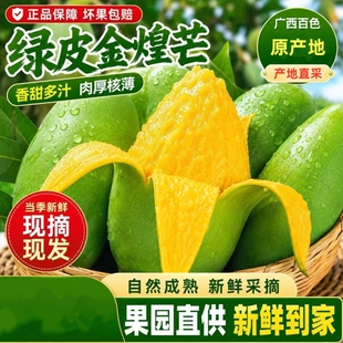 【食悦果】广西.青皮金煌芒净重4.5斤