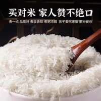 Cat Tooth Fragrant rice, new rice, farm long-grain fragrant rice, slender cat tooth rice, household fried rice, steamed and cooked long-grain rice, bagged thumbnail 3