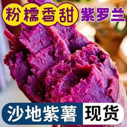 紫薯新鲜山东沂蒙山紫罗兰农家种植红薯番薯地瓜糖心蜜薯山芋烟薯