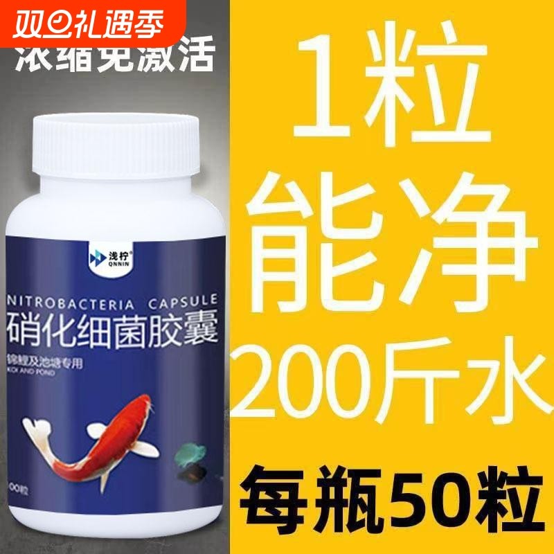 硝化细菌胶囊鱼缸净水剂水质养鱼观赏鱼用活菌分解生态硝酸浓缩