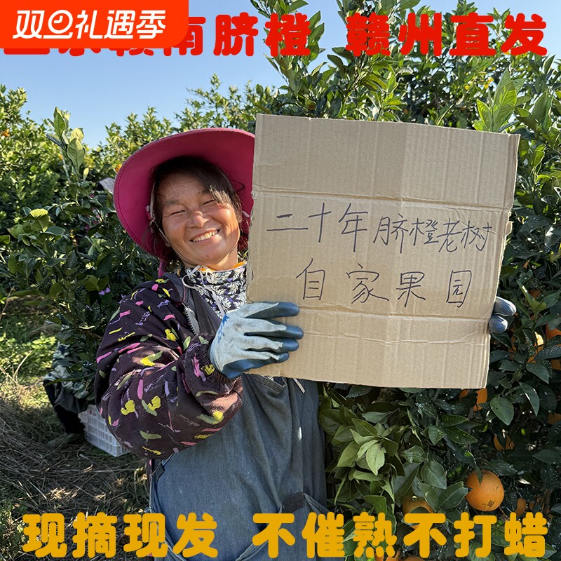 正宗江西赣南脐橙现摘现发