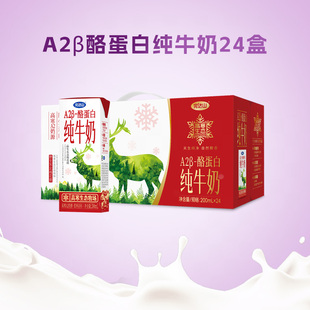 完达山A2β-酪蛋白纯牛奶200ml*24瓶营养早餐高寒生态
