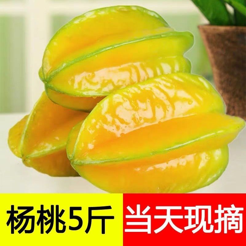 【现摘现发】甜杨桃水果杨桃新鲜批发降火水果应季水果杨桃批发