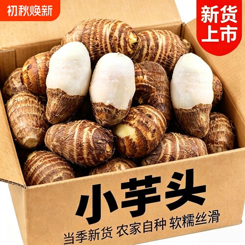 【地头价】新鲜牛奶小芋头香芋艿正宗山东毛芋头小奶芋头早餐粗粮