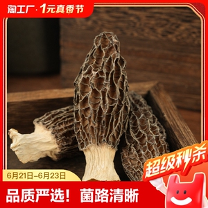 羊肚菌干货云南特产菌菇剪柄特级羊肚菇蘑菇煲汤料批发一斤甄选