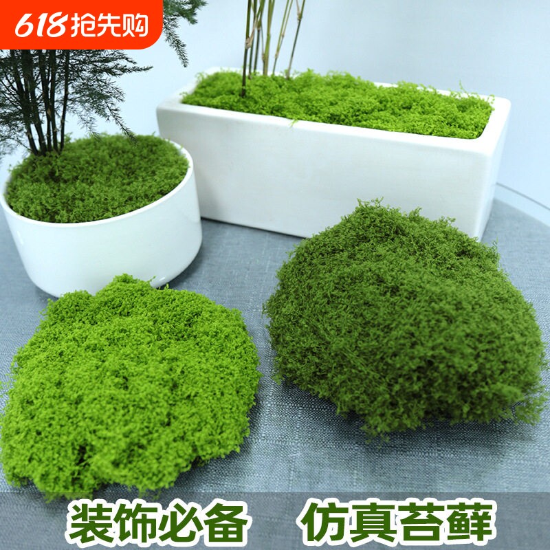 仿真苔藓微景观造景 材料与装饰绿化室内外绿植