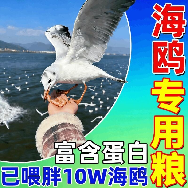 海鸥专用粮海边景区喂养高营养专属搭配易吸收促消化滋养饲料鸟粮