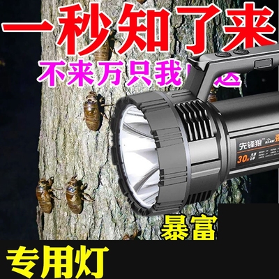 知了猴专用手电筒手提探照灯金蝉