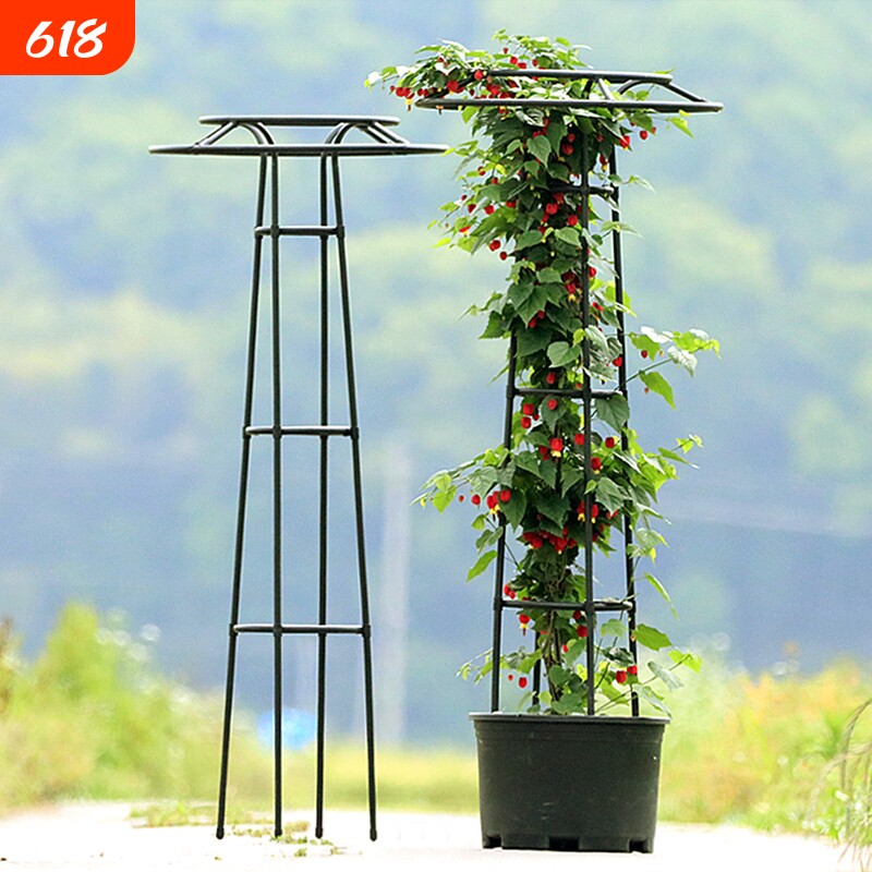 家用园艺双圈伞形爬藤架子植物藤本月季花支架铁线莲蘑菇头攀爬架