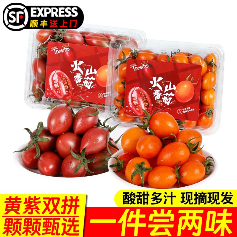 福建正宗紫弹子弹头小番茄西红柿漳州当季孕妇水果蔬菜沙拉圣女果
