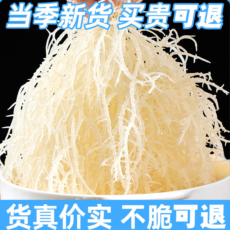 龙须菜海石花菜干货新鲜长寿菜菜鹿角菜凉拌菜专用海产500g凉菜 - 实物图